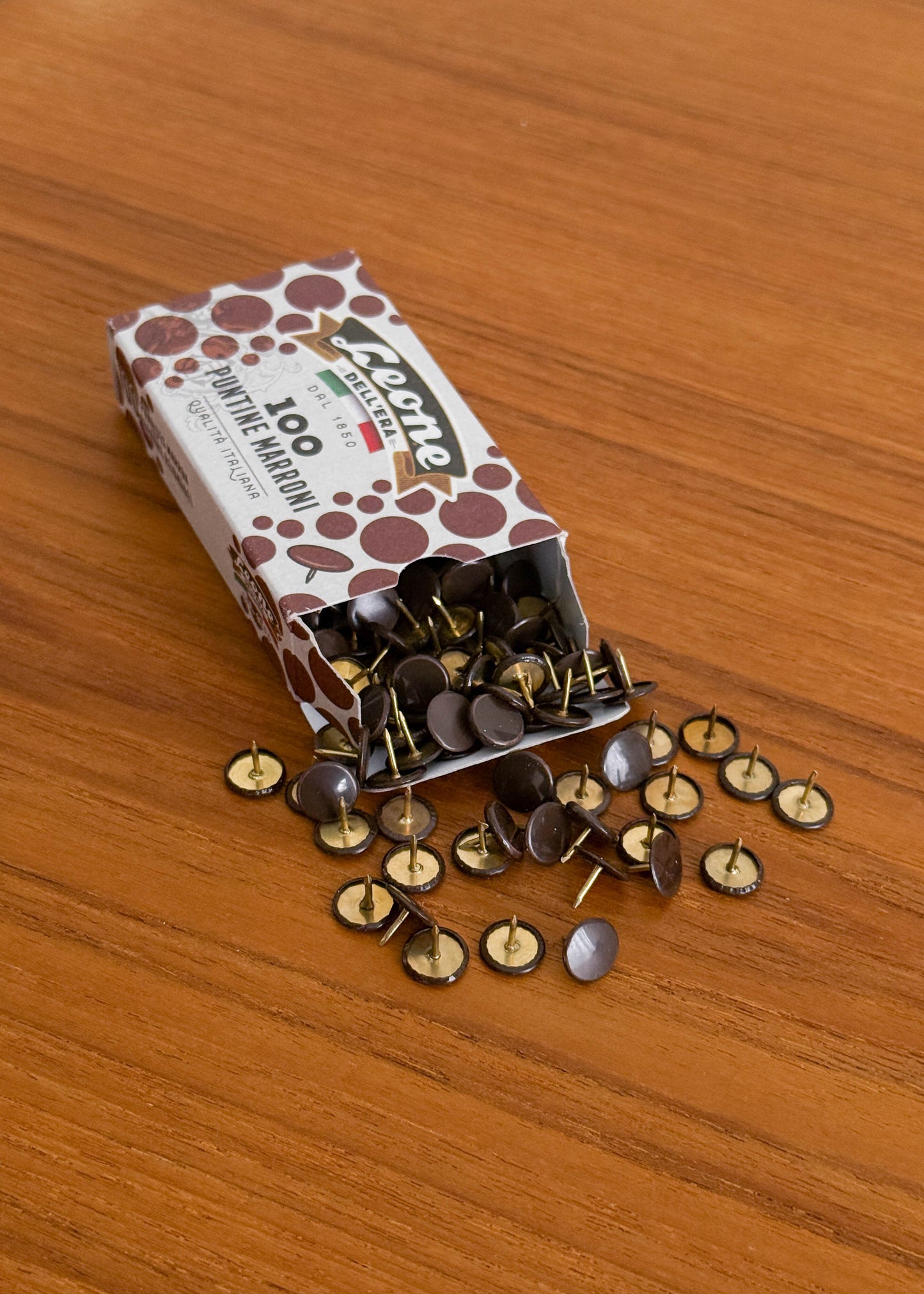 Leone Dell'Era Push Pins