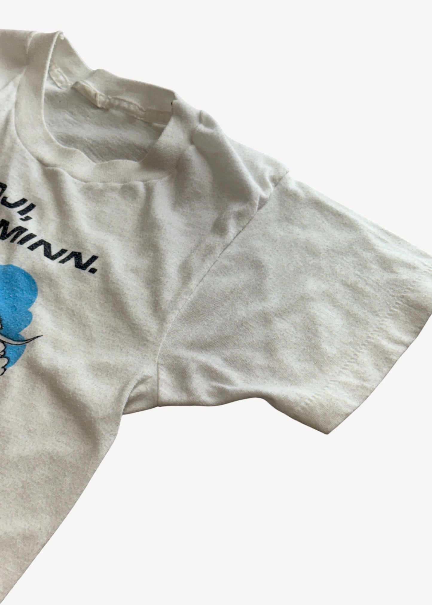 Vintage 1970s "Paul Buyan" T-Shirt Size XS/S