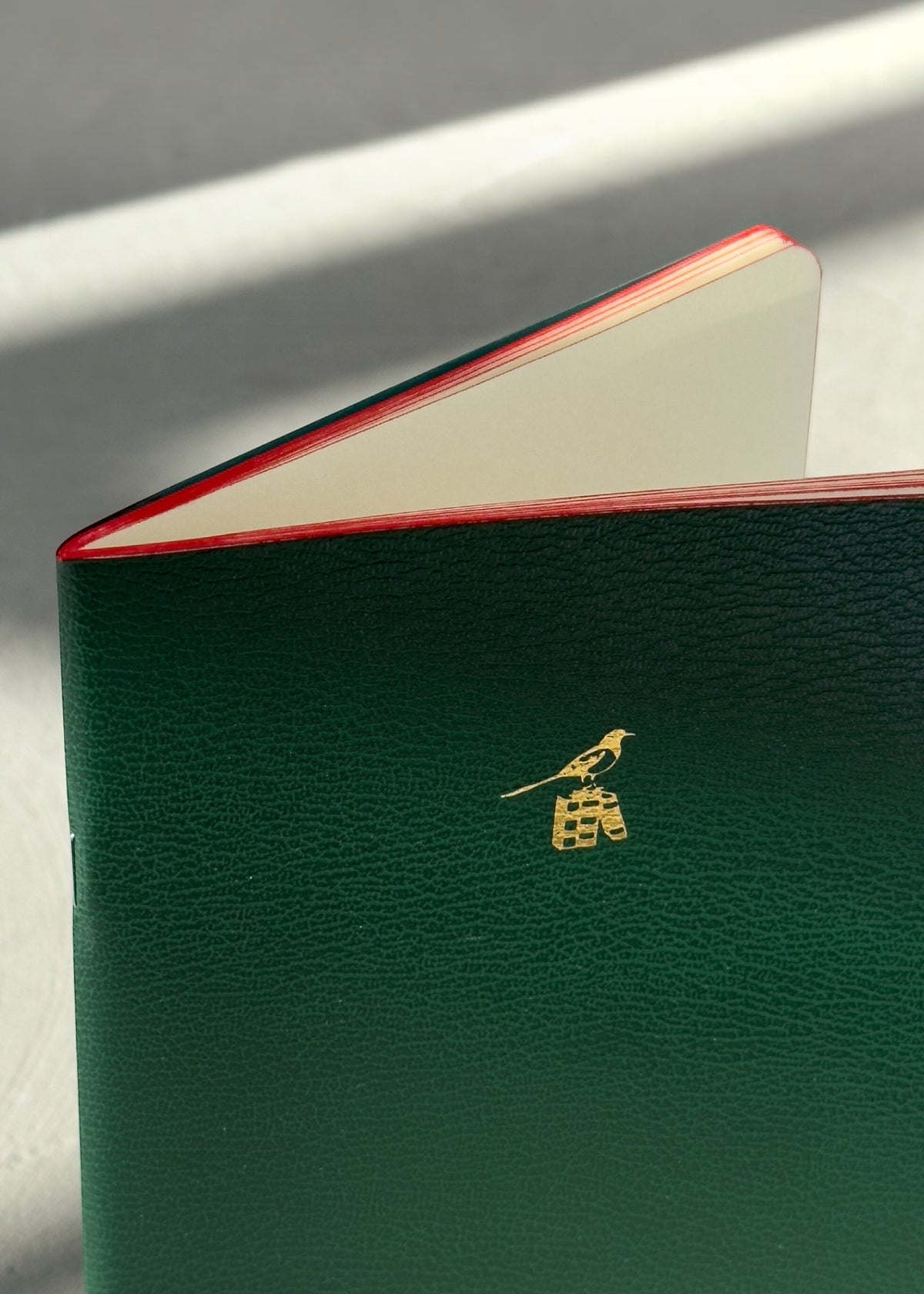 Bieffe Roma Notebook