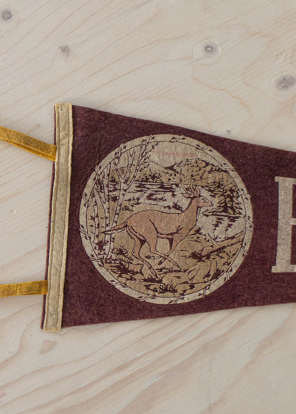 1970s Blaney Park Michigan Pennant Flag
