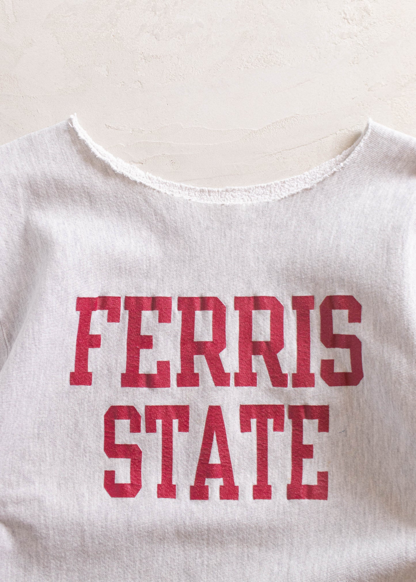 1980s Champion Reverse Weave Ferris State Sweatshirt Size S/M