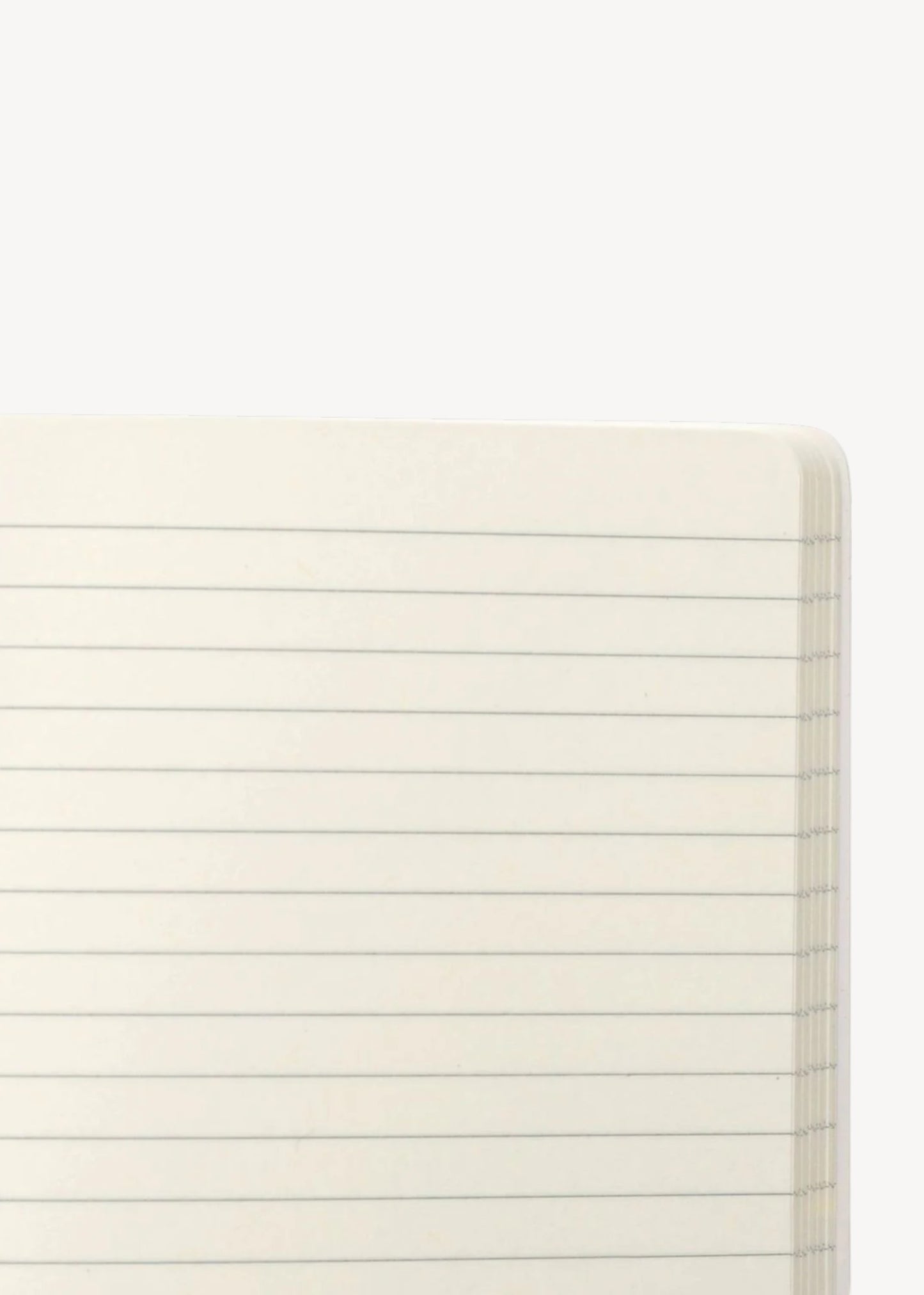 Close-up of white lined notebook pages on a white background