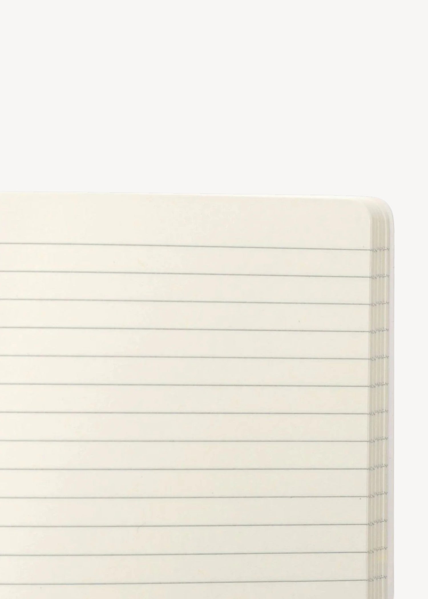 Close-up of white lined notebook pages on a white background