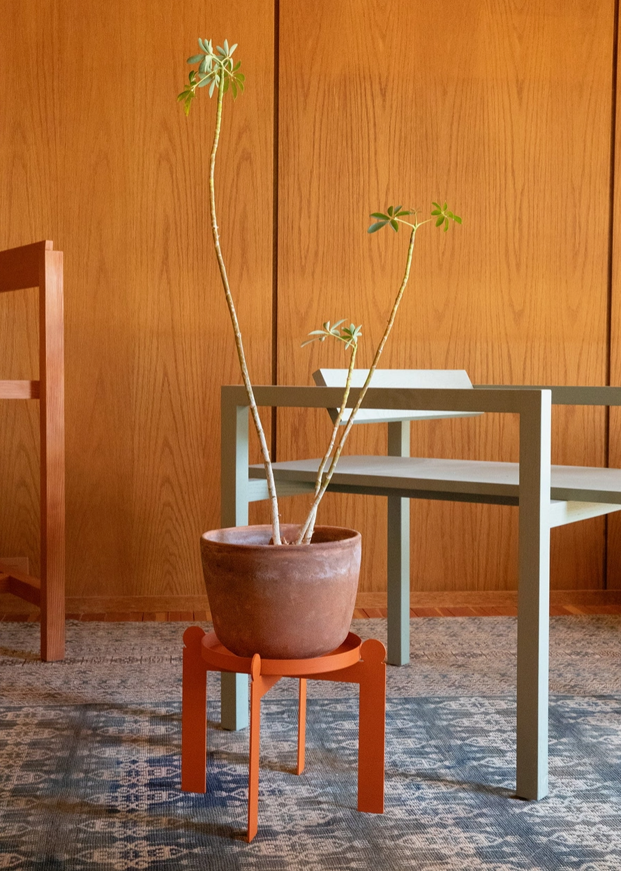 Potted plant on an orange plant stand against a wooden wall.