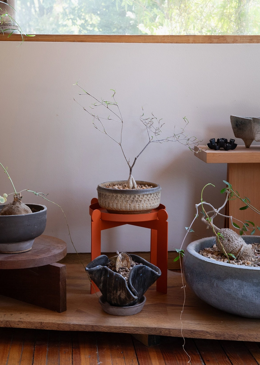 Potted plants on a wooden platform, one plant is on an geometric shaped orange metal plant stand with a window in the background