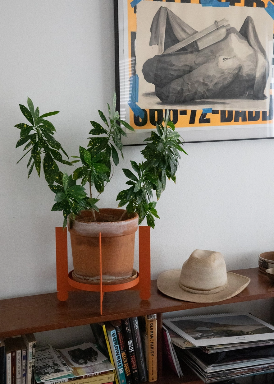 Potted plant in an orange metal plant stand on a shelf with books and a hat, framed artwork above