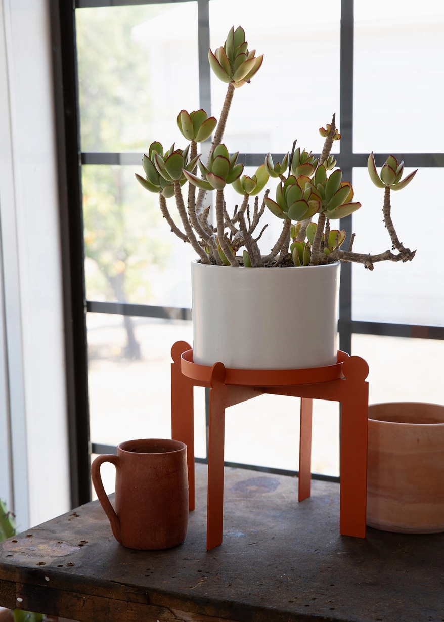 Potted plant on a geometric orange metal plant stand with a mug and another pot in the background.