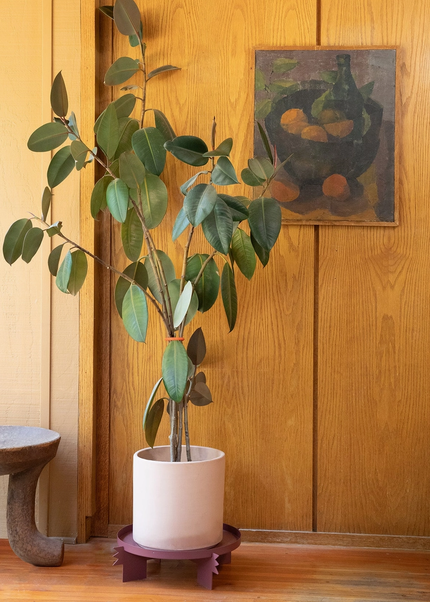 Potted plant on a light marroon metal plant stand with gemoetric shapes, a wooden wall and abstract painting in the background.