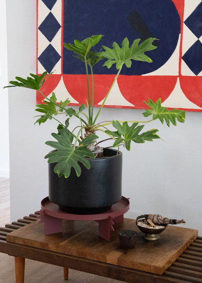 Potted plant in a shallow light maroon geometric plant stand on a wooden table with a colorful tapestry in the background