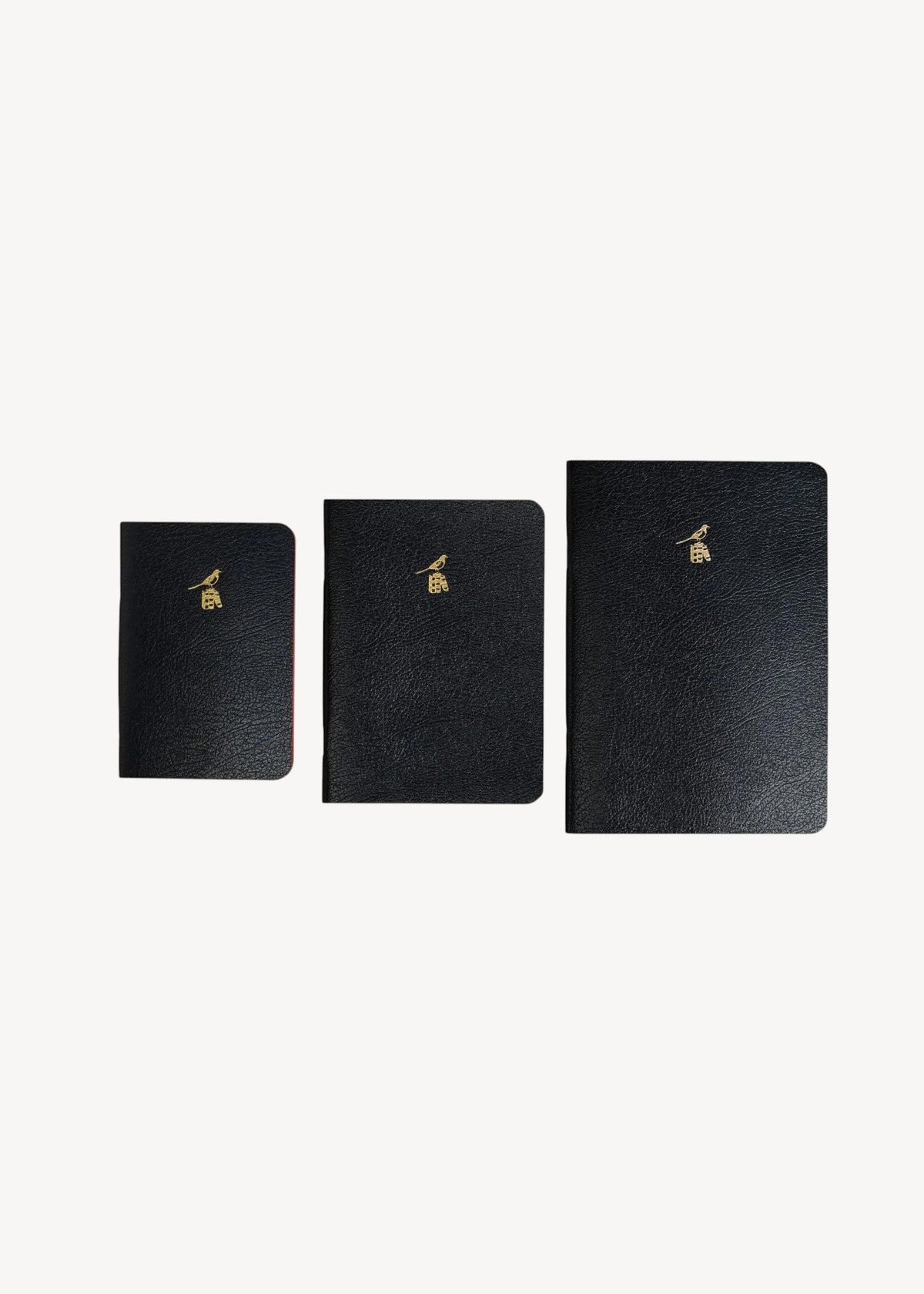Bieffe Roma Notebook
