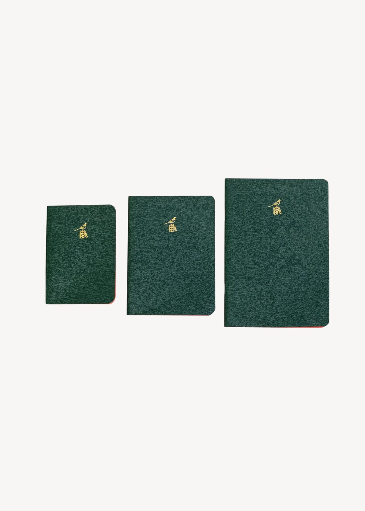 Bieffe Roma Notebook